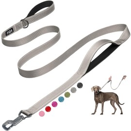 Fida Correa para perro acolchada con dos asas, cierre fácil avanzado, correas reflectantes resistentes para control de seguridad, correa para caminar para perros pequeños a grandes, 1,8 m, gris