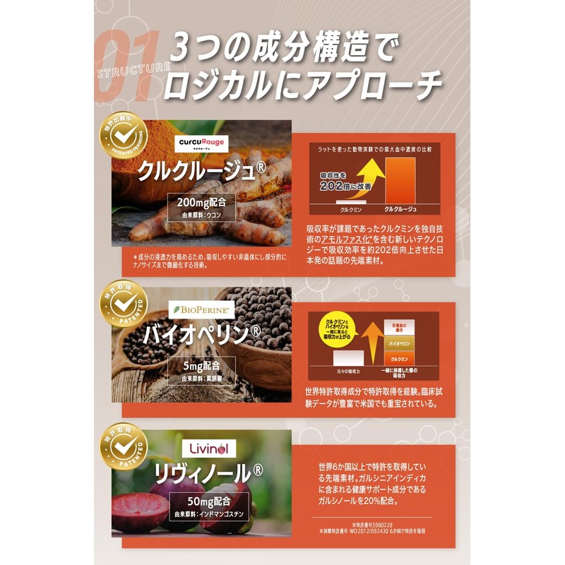 【カズレーザーと学ぶで紹介成分】リボーン (Re;BONE) 高吸収 クルクミン 飲み会の先端科学 サプリメント 90粒(1ヶ月分) 京都大学 ベンチャー開発 クルクルージュ使用