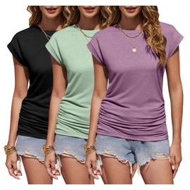 Zeagoo 3 PCS Womens Top Short Sleeve Tunics Crew Neck Tee Work Lightweight Shirts Business Summer Blouse Plus Size