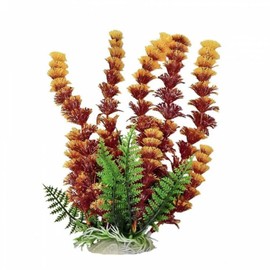 Aquatop Aquatic Supplies 819603014655 Cabomba Fire Aquarium Plant, 20", Rust/Orange