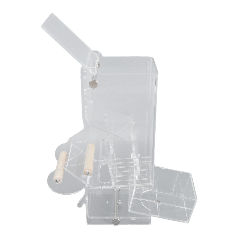 Automatic Parrot Feeder Prevent Spillage and Splashing Easy Installation Acrylic
