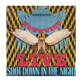 SHOT DOWN IN THE NIGHT 10" [10" VINYL]