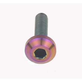 Ruifu Hex Socket Head Cap Screws, Titanium Alloy, Available in M6 x 12/15/20/25/30/35 mm, M8 x 15/20/25/30/35/40 mm, For Bicycles & Motorcycles, Wheels, License Plate Mounting Bolts, Set of 5 (M8 x 25 mm, Rainbow)