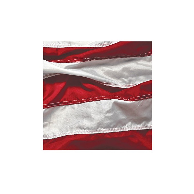 Creative Converting 16 Count Paper Beverage Napkins, Patriotic Symbol
