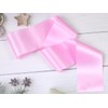 FENDOLE 12 Pack Pink Blank Sash, Plain Satin Sashes for