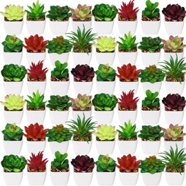 Tigeen 48 Pot Artificial Mini Succulent Plants Realistic Faux Succulents Small Cute Fake Plant in White Plastic Pot for Bedroom Office Desk Shelf Bathroom 12 Style