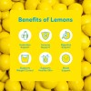 Lemon Perfect Blueberry, Hydrating Flavored Lemon Water, Zero Sugar, Healthy