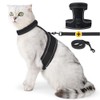 Cat Harness, No Shedding Double Lock, Easy, Cat Leash Harness,
