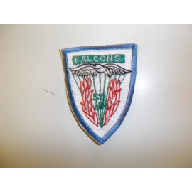 b0548 WW 2 US Army Airborne 511th Parachute Infantry Regiment Falcons PIR R3C