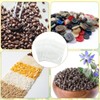 100 Pack Small Seed Packet Envelope with Clear Window,3.5x2.7 In