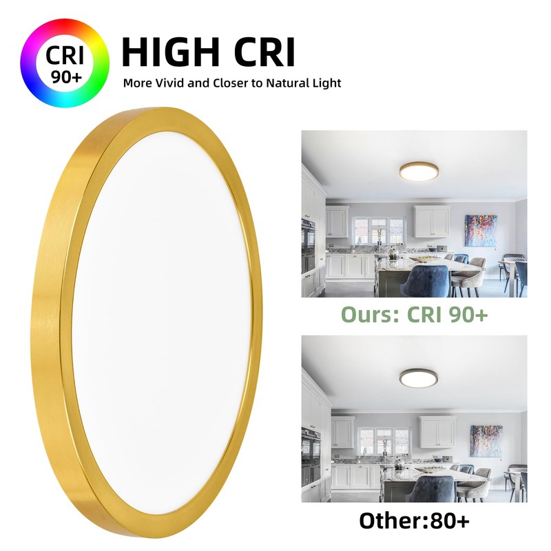 hykolity 12 Inch Selectable CCT LED Round Flat Panel Light,