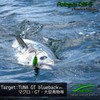 Jack Fin PELAGUS PELAGUS 165S Acciuga Lure Handmade Blue Tuna