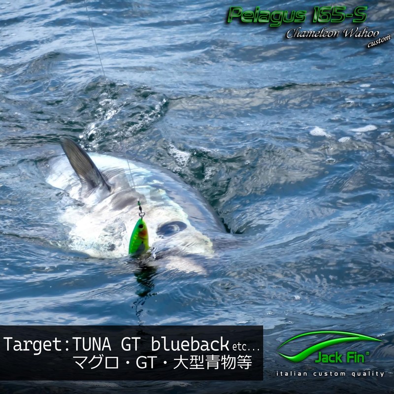 Jack Fin PELAGUS PELAGUS 165S Acciuga Lure Handmade Blue Tuna