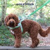 HUGO & HUDSON Easy Walk Dog Harness Adjustable No-Pull Step-in