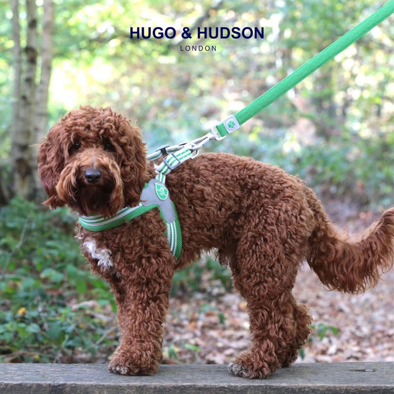 HUGO & HUDSON Easy Walk Dog Harness Adjustable No-Pull Step-in