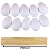 Plastic Hollow Eggs On Sticks White Easter Eggs to Decorate