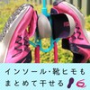 レック インソールも干せる シューズハンガー W-479 ブルー