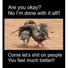 Funny pigeon refrigerator magnet 3 1/2x 4 1/2"