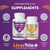 LiverTrio+ Comprehensive Liver Support Supplement for Large Dogs. Flavorful Chewable