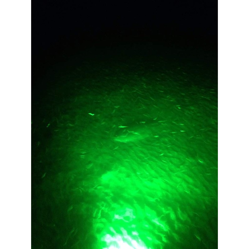 Oznium Eclipse High Power 12V LED Light for Flounder Gigging,