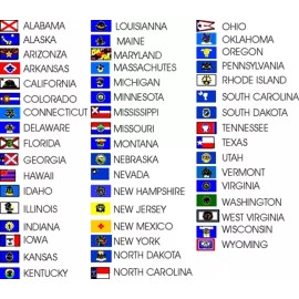 Trade Winds 12x18 12"x18" Wholesale Lot of 50 States + USA Set Stick Flag Wood Staff