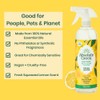 Absolute Green All Purpose Cleaner Spray, Non-Toxic, Kitchen, Bath, Countertop,