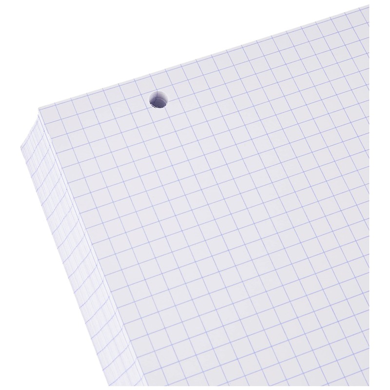 Exacompta - Ref 10608E - Bristol Squared & Punched Record