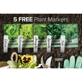 Gardeners Basics Lettuce and Greens Heirloom Vegetable Seed Non-GMO Seeds for Planting Indoors and Outdoor 5 Packs - Lettuce Buttercrunch, Romaine, Arugula, Kale and Spinach By Gardeners Basics