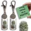 Yetti | Mini Cactus Gift Keyring - Living Plant on