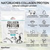 AlpenPower Collagen Hydrolysate Protein Powder 500 g - Bioactive Collagen