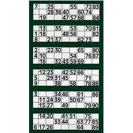 JMS we create smile Bingo Ticket Book- 6 To View Pad 480 Tickets With Big Bold Numbers Family Activity Fun Book For Night Events Parties Christmas (Dark Green)