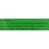 Royal King Sinus Buster Chinese Herbal Tea (20 Bag)