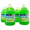 Snappy Green Apple Sno Cone Syrup, 4-1 Gallon (128 ounces)
