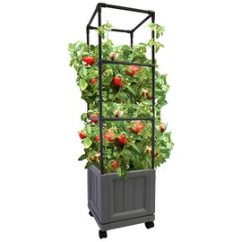 City Picker's XL Trellis Tower