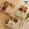 Tilipan 100% Compostable 9 Inches Plate [125-Pack] - Heavy Duty,