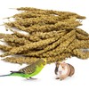 kathson Spray Millet Treat Sun-Dried Bird Millet Parakeet Treats for