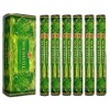 HEM Moldavite Incense 20 Sticks