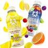 RYSE Clear Protein Drink - Variety Pack - 100 Calories,