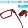 Reducblu Oversized Reading Glasses Metalless Screwless Spring Hinges 6 Pack