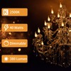 COLWATT 12-Pack E12 Candle Light Bulbs 40W Warm White 2500K,