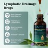 Lymphatic Drainage Drops, 25-in-1 Botanical Complex with Dandelion, Burdock Root,