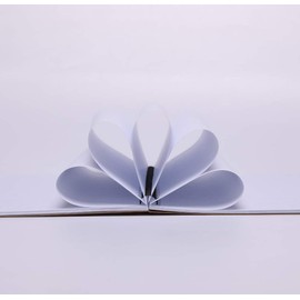 DENSET HBTDM DENSET HBTDM Spiral Notebooks College Ruled, Lined For Memo Diary Journal, Wirebound Notepads 100 Pages (50 Sheets), 8.4" x 5.7", 2 Pcs