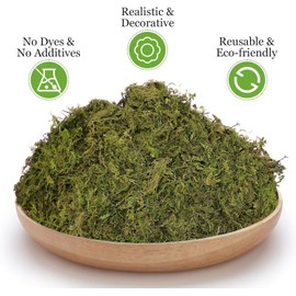 Riare 2.6LBS Artificial Fake Moss for Fake Plants Indoor- Premium Faux Craft Moss for Potted Plant, Fresh Forest Green for Hamsters Micro-Landscape Terrariums Centerpieces Decor