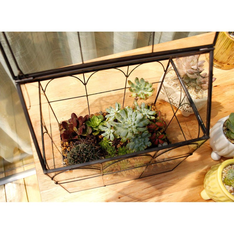 ELEGANTLIFE Glass Geometric Plant Terrarium,Succulent & Air Planter for Home