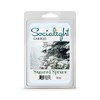 Socialight Candles - Sugared Spruce Scented Wax Cubes/Melts