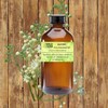 Wild Herb Wild Herb Amyris Pure Essential Oil (1 OZ)
