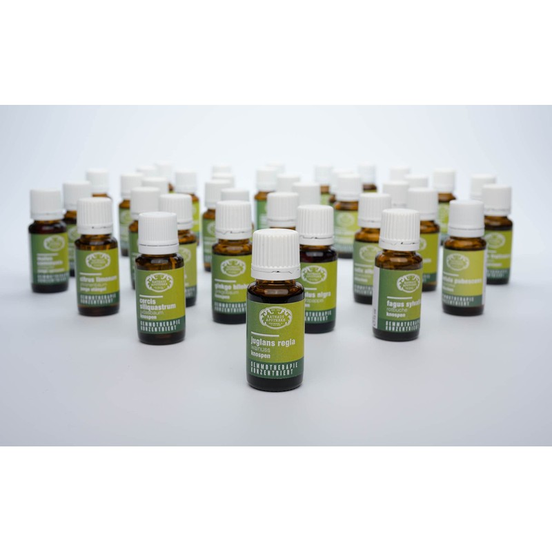 RATHAUS APOTHEKE WIEN Concentrated Bud Extract - Gemmotherapy - Juglans