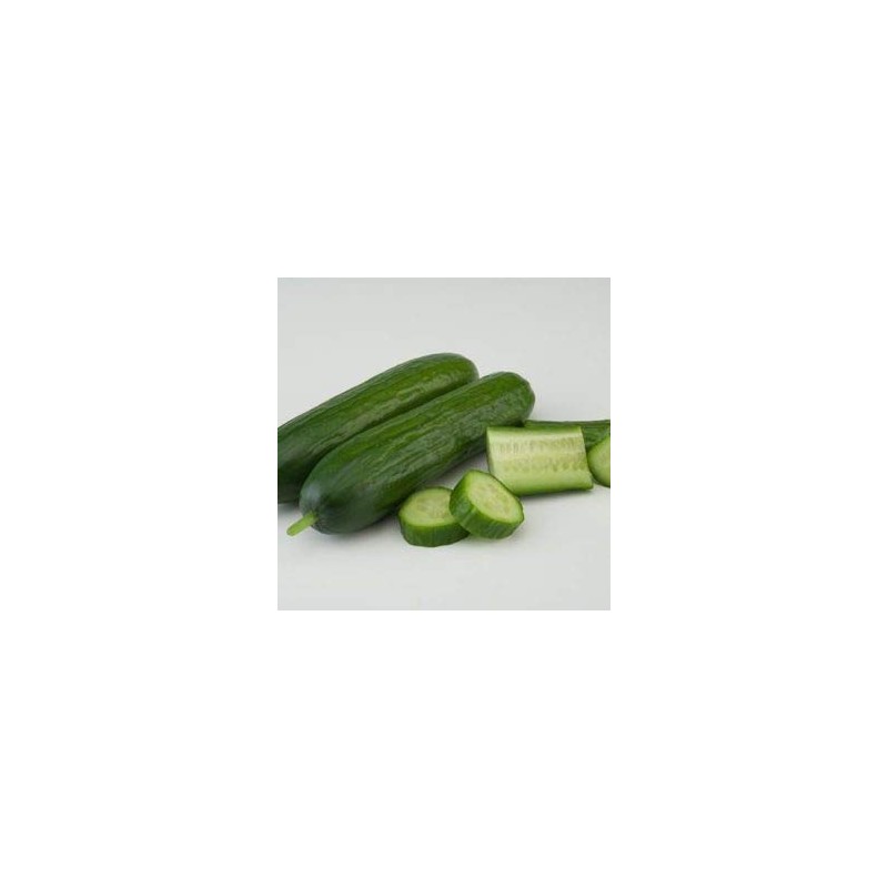 Dasher II Hybrid Cucumber Seeds, 25 Seeds Per Packet, Non