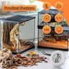 Thlevel Reptile Tank Accessories, 2 Pack Bearded Dragon Tank Thermometer