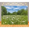 CORFOTO 5x3ft Fabric White Daisies Field Backdrop Daisy Flower Background